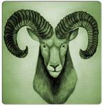 Aries Rules the Head