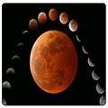 A Full Moon And Lunar Eclipse On 25 May 2013