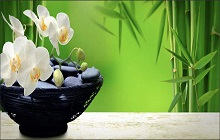 New Feng Shui For Taurus 2015 Release and Price on newcarmodel.us New Feng Shui For Taurus 2015 Release and Price on newcarmodel.us
