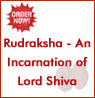 Click Here for Rudraksha