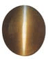 Cat's Eye