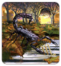Scorpio