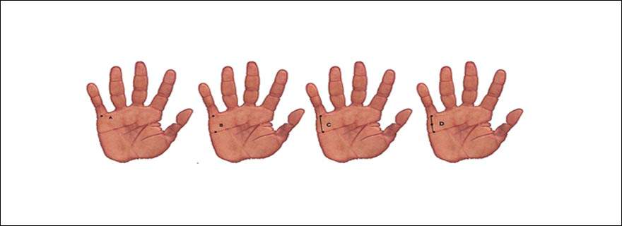 Palmistry-And-Prediction