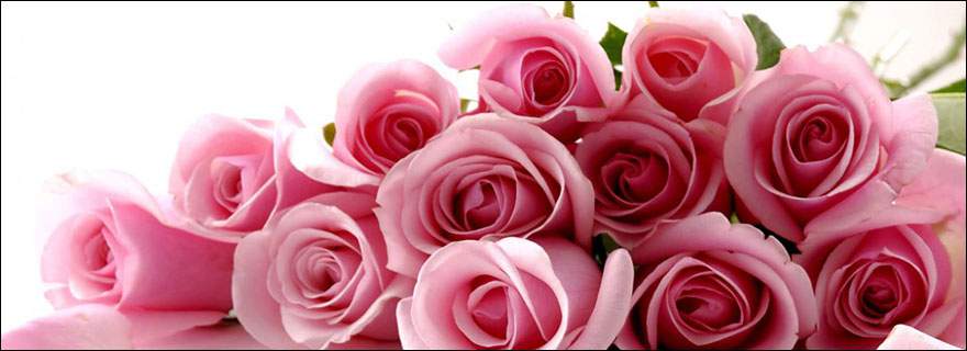 Significance of Flowers