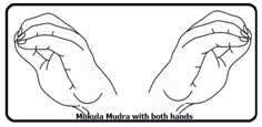 Mukula Mudra with Both Hands