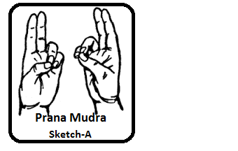 prana 1