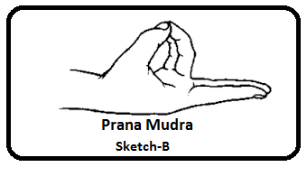 prana 2