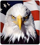 America-Pivotal