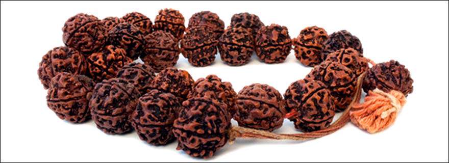 Rudraksh