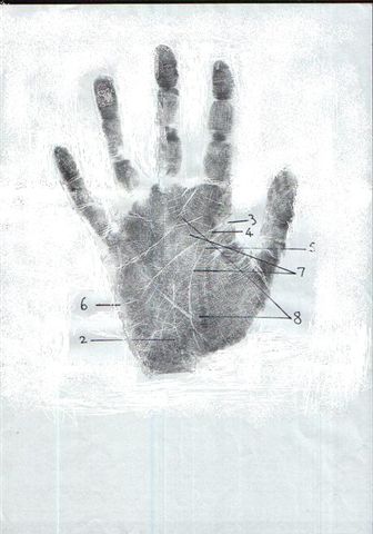 Benazir_hand_print_2007