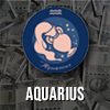 Aquarius innovative money style