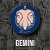 Gemini spending style