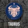 Taurus financial stability